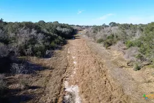 3382 E Fm 1961, Goliad, TX 77963 - Photo 5