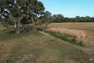 3382 E Fm 1961, Goliad, TX 77963 - Photo 23