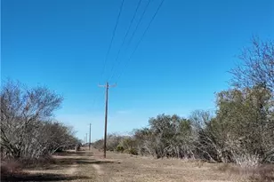 3382 E Fm 1961, Goliad, TX 77963 - Photo 15