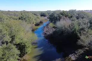 3382 E Fm 1961, Goliad, TX 77963 - Photo 7