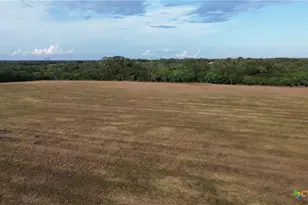 3382 E Fm 1961, Goliad, TX 77963 - Photo 25