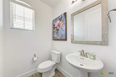 521 Elm Green Street, Hutto, TX 78634 - Photo 25