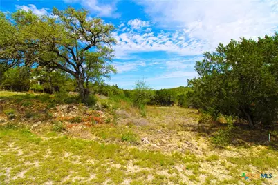 151 Nighthawk Lane, Canyon Lake, TX 78133 - Photo 5