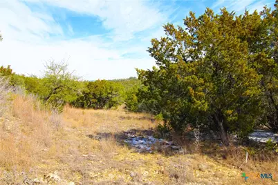 151 Nighthawk Lane, Canyon Lake, TX 78133 - Photo 5