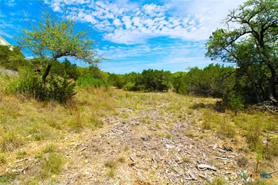 151 Nighthawk Lane, Canyon Lake, TX 78133 - Photo 3