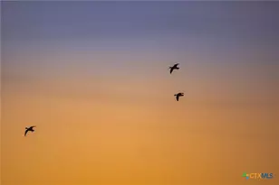 345 Fm 933, Aquilla, TX 76622 - Photo 25