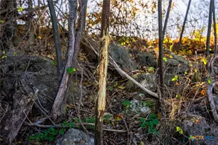 345 Fm 933, Aquilla, TX 76622 - Photo 35