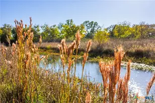 345 Fm 933, Aquilla, TX 76622 - Photo 13