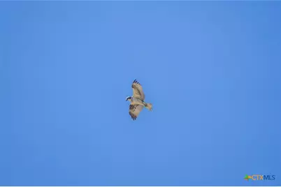 345 Fm 933, Aquilla, TX 76622 - Photo 31