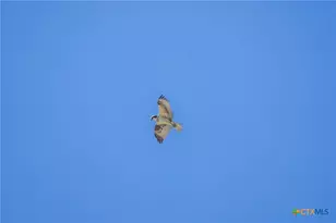 345 Fm 933, Aquilla, TX 76622 - Photo 31