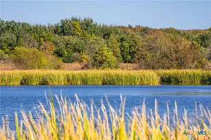 345 Fm 933, Aquilla, TX 76622 - Photo 39