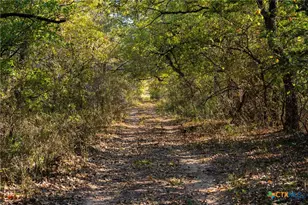 345 Fm 933, Aquilla, TX 76622 - Photo 19