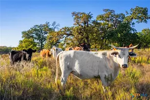 345 Fm 933, Aquilla, TX 76622 - Photo 15