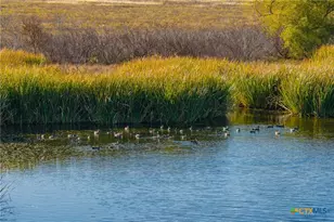 345 Fm 933, Aquilla, TX 76622 - Photo 23