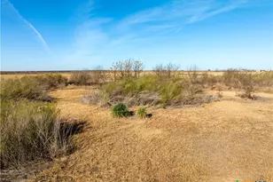 2927 County Rd 302, Bartlett, TX 76511 - Photo 9