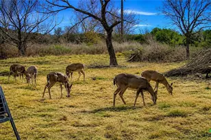 3259 Schumann Rd, Stonewall, TX 78671 - Photo 41