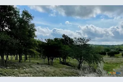 3259 Schumann Road, Stonewall, TX 78671 - Photo 13