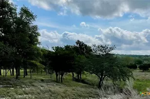 3259 Schumann Rd, Stonewall, TX 78671 - Photo 13