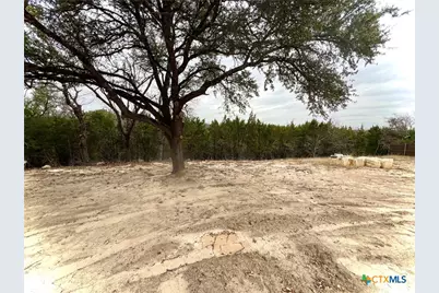 2336 Dunns Hollow Drive, Belton, TX 76513 - Photo 9