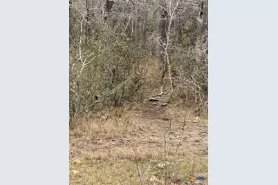 0 Fm 3353, Kingsbury, TX 78638 - Photo 19