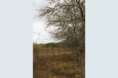 0 Fm 3353, Kingsbury, TX 78638 - Photo 7