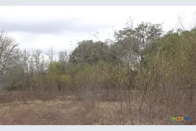 0 Fm 3353, Kingsbury, TX 78638 - Photo 9