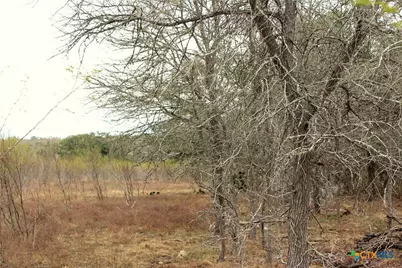 0 Fm 3353, Kingsbury, TX 78638 - Photo 3