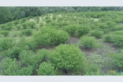 0 Fm 3353, Kingsbury, TX 78638 - Photo 7