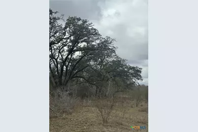 0 Fm 3353, Kingsbury, TX 78638 - Photo 11