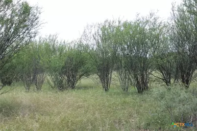 0 Fm 3353, Kingsbury, TX 78638 - Photo 3
