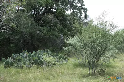 0 Fm 3353, Kingsbury, TX 78638 - Photo 11
