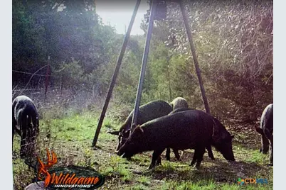 Tbd Skyridge Road, Lampasas, TX 76550 - Photo 23