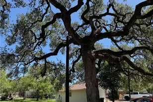 203 Villa St, Cuero, TX 77954 - Photo 21