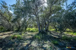 504 Shaver Rd, Aransas Pass, TX 78336 - Photo 31