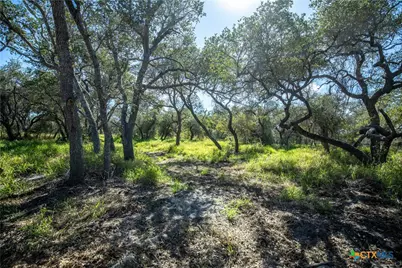 504 Shaver Road, Aransas Pass, TX 78336 - Photo 35