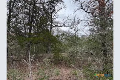 0 Fm-1447, Yoakum, TX 77995 - Photo 3