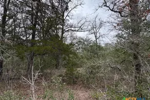 0 FM 1447, Yoakum, TX 77995 - Photo 3