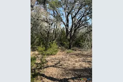 0 Fm-1447, Yoakum, TX 77995 - Photo 7