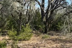 0 FM 1447, Yoakum, TX 77995 - Photo 7