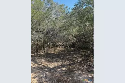 0 Fm-1447, Yoakum, TX 77995 - Photo 7