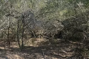 0 FM 1447, Yoakum, TX 77995 - Photo 7