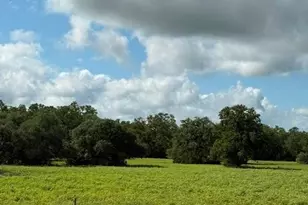 0 FM 1447, Yoakum, TX 77995 - Photo 3