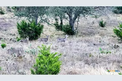 405 Heartleaf Drive, Lampasas, TX 76550 - Photo 7