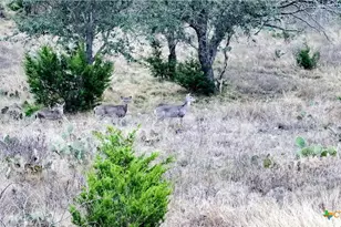 405 Heartleaf Dr, Lampasas, TX 76550 - Photo 7