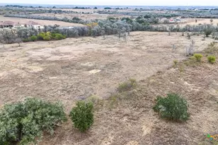 10245 FM 20, Seguin, TX 78155 - Photo 13