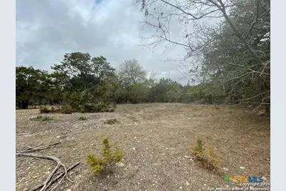 125 Pecan Drive, Spring Branch, TX 78070 - Photo 9