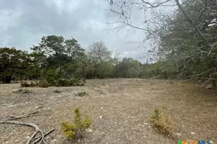 125 Pecan Dr, Spring Branch, TX 78070 - Photo 9