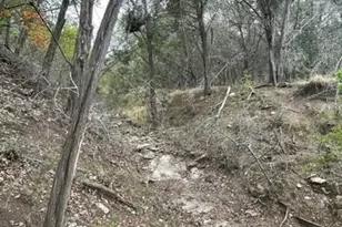 125 Pecan Dr, Spring Branch, TX 78070 - Photo 9