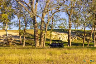 Tbd 10 86 Acres Tract 4 Village Ln, Seguin, TX 78155 - Photo 9