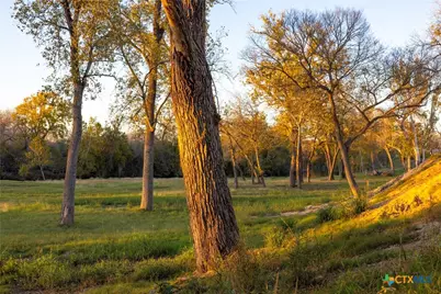 Tbd 10.86 Acres Tract 4 Village Lane, Seguin, TX 78155 - Photo 13